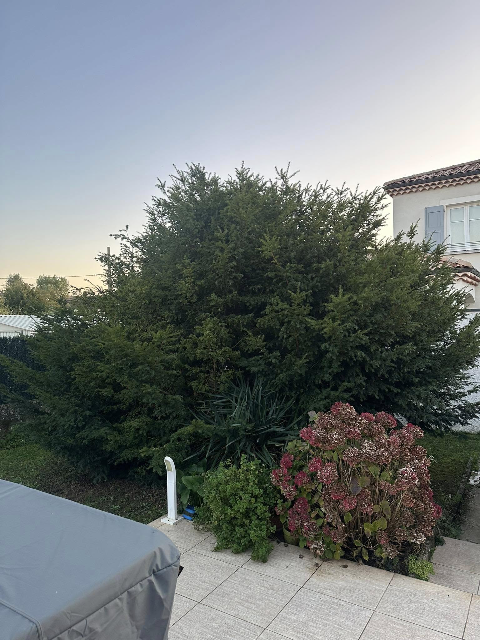 Before image alt