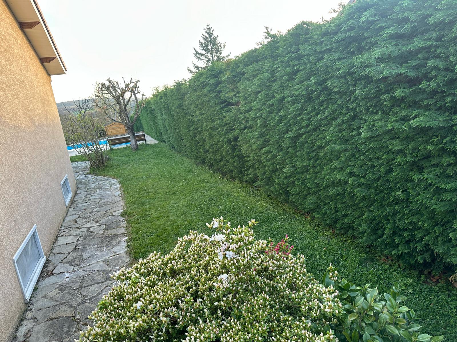 Before image alt